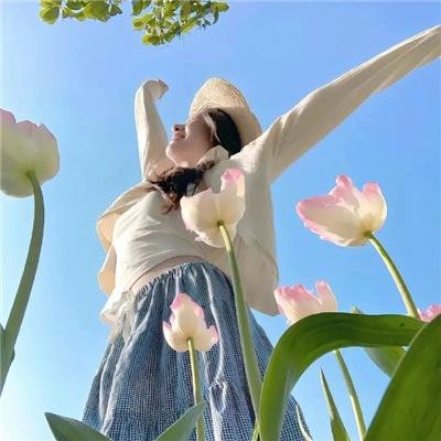 天梯:蔡国强的艺术